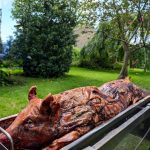 Hog Roast Somerset